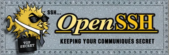 Top 6 phần mềm SSH miễn phí tốt nhất 2026 (Terminal VPS) 6 OpenSSH - Phần mềm SSH miễn phí
